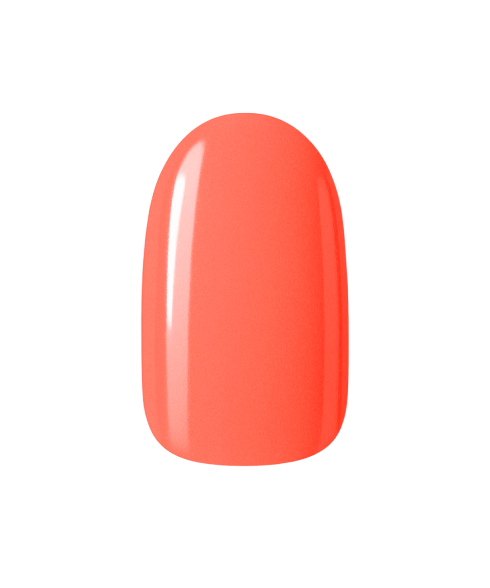 Coral Crush