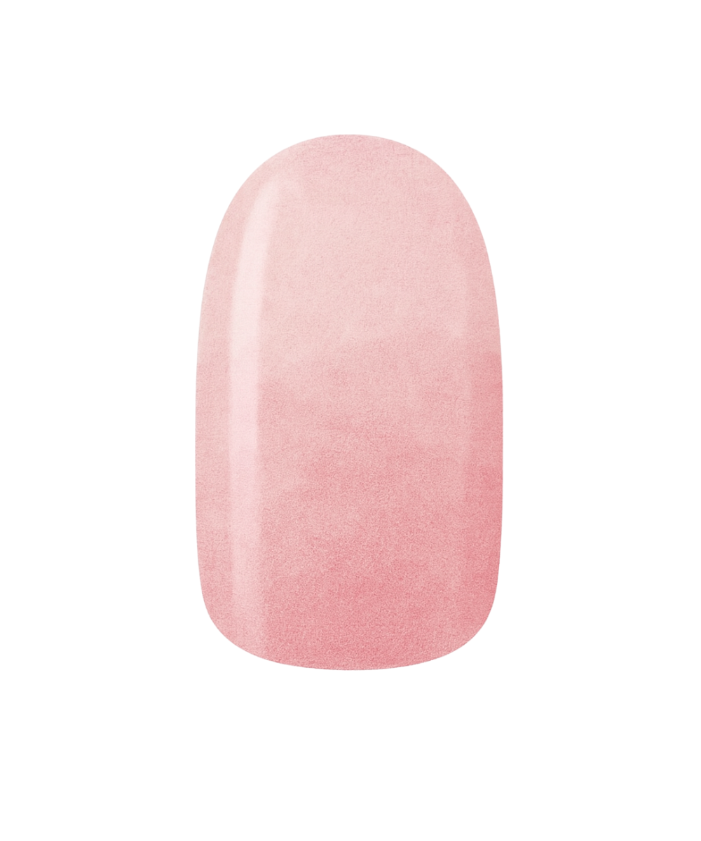 Rosy Whisper
