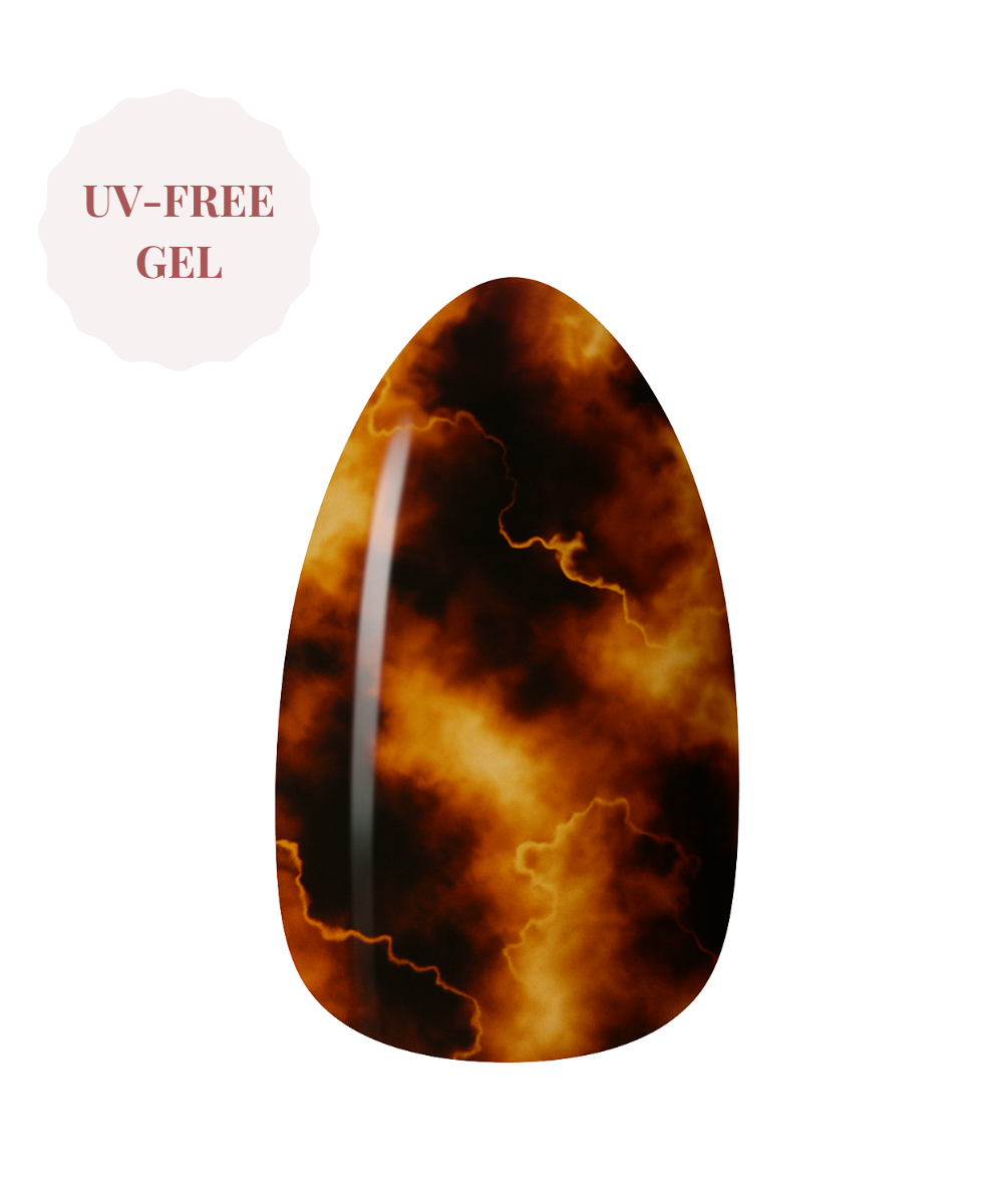 Tortoise