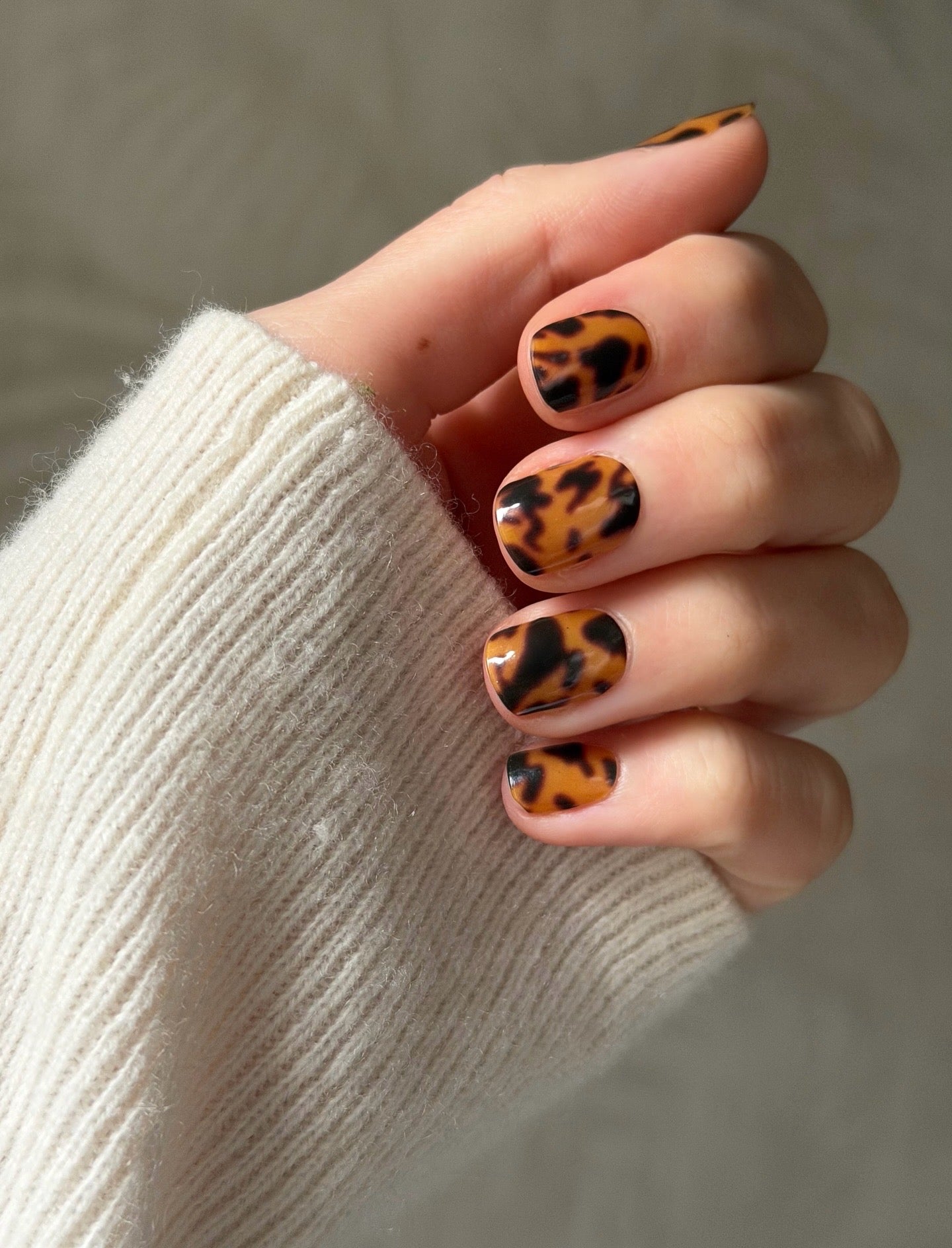 Leopard