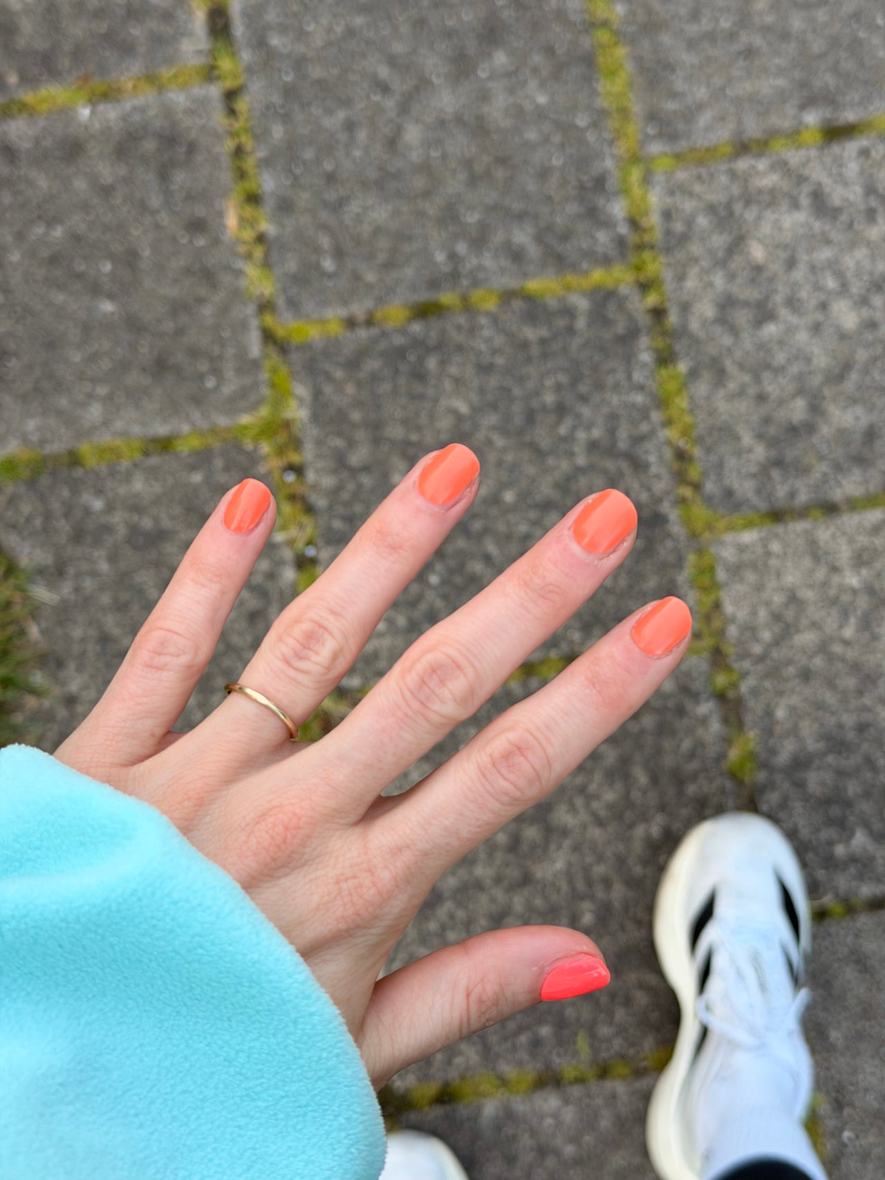Coral Muse