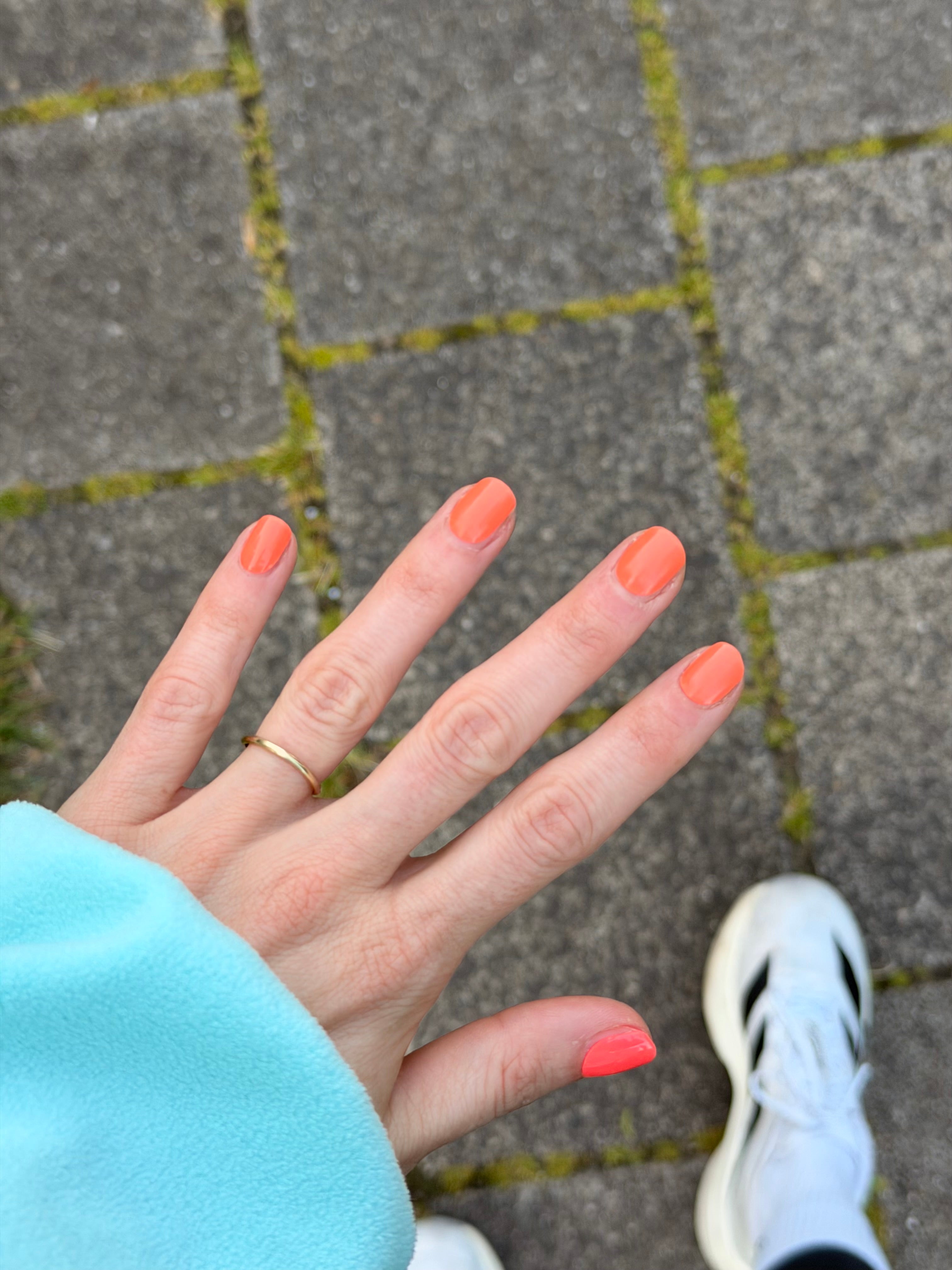 Coral Muse