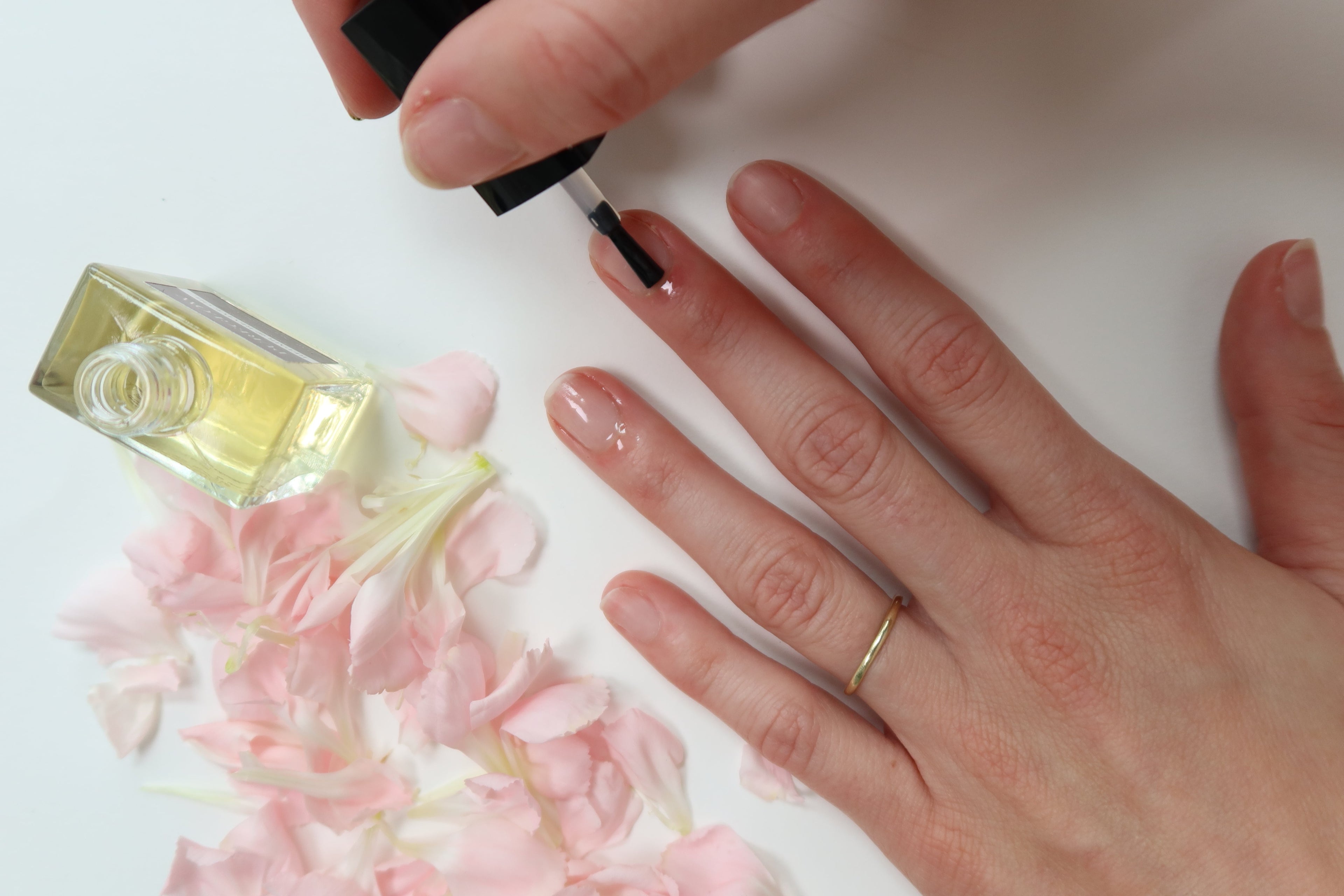 Cuticle Oil | Japanese Plum